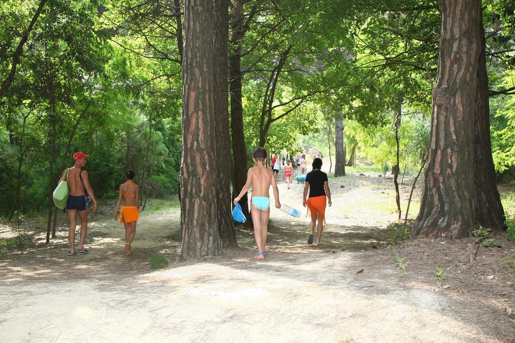 Camping Parco Capraro Τζεσόλο Λίντο Εξωτερικό φωτογραφία