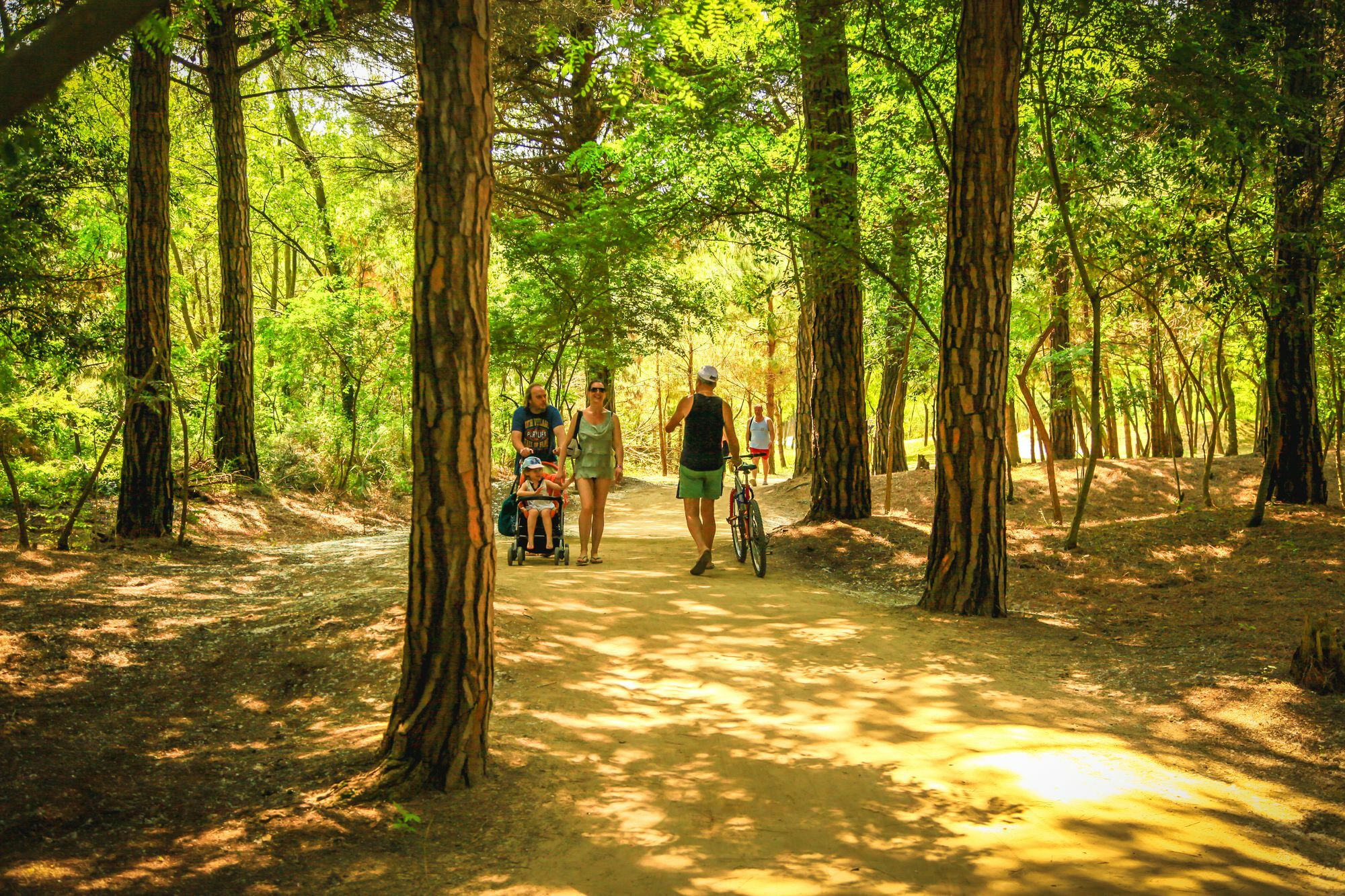 Camping Parco Capraro Τζεσόλο Λίντο Εξωτερικό φωτογραφία